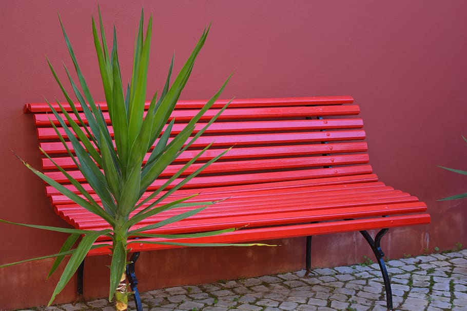 bench, red, green plant, no people, seat, nature, architecture HD wallpaper