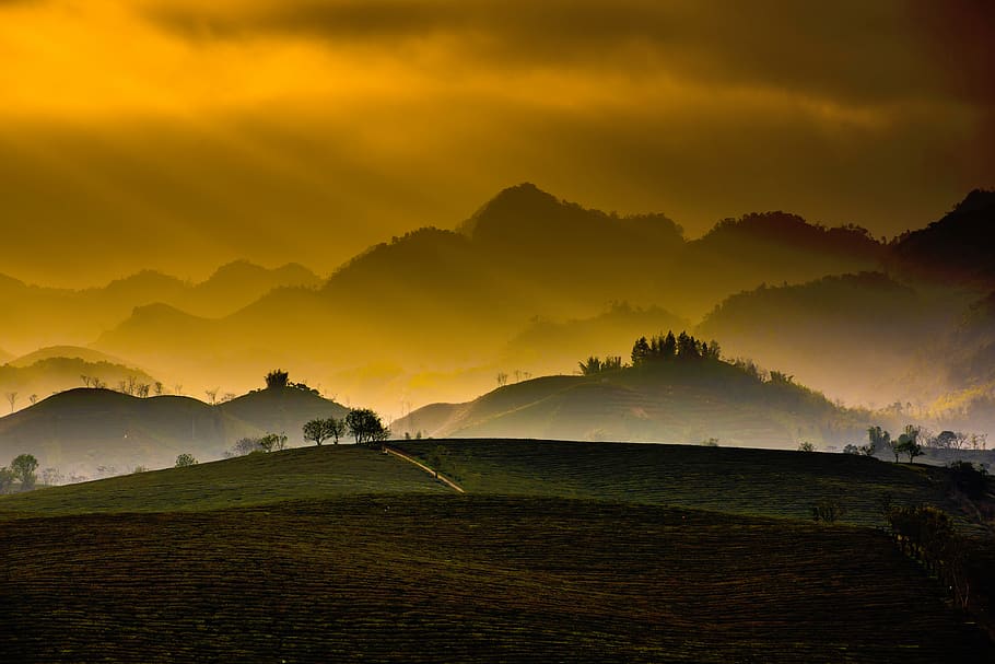 nature, mountains, trees, grass, plains, sky, cloud, sunlight HD wallpaper