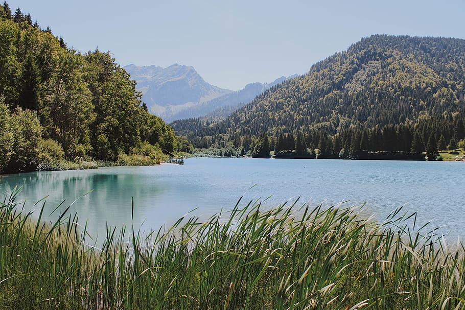 lagoon during daytime, plant, mountain, water, beauty in nature HD wallpaper