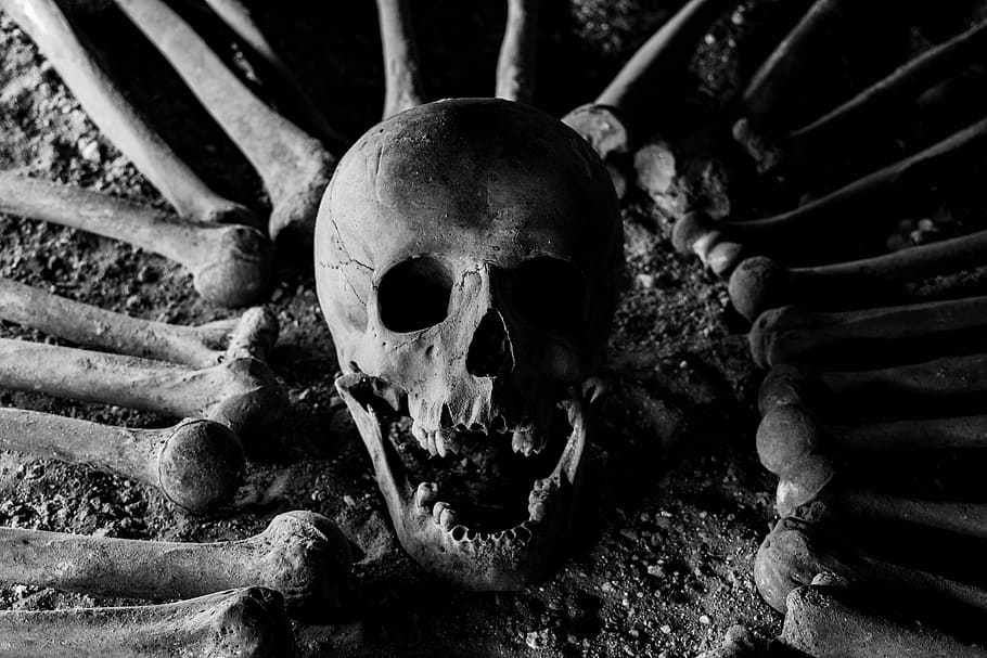 bones, skull, skeleton, death, danger, halloween, horror, dark, HD wallpaper