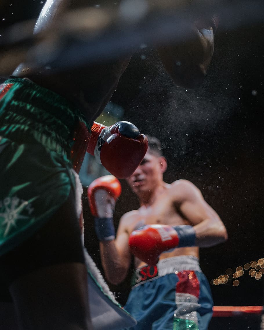 two men inside boxing ring, one person, real people, lifestyles HD wallpaper