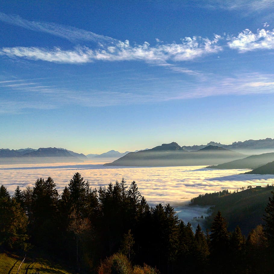 clouds, forest, autumn, mountain, landscape, cloudscape, tree HD wallpaper