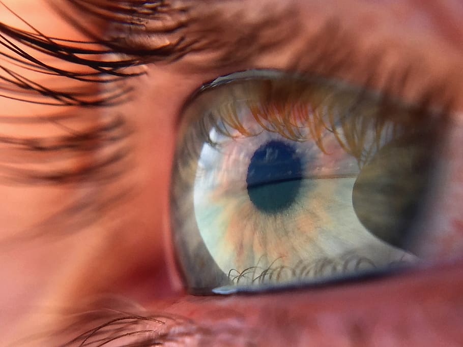 maldives-eye-macro-close-up.jpg