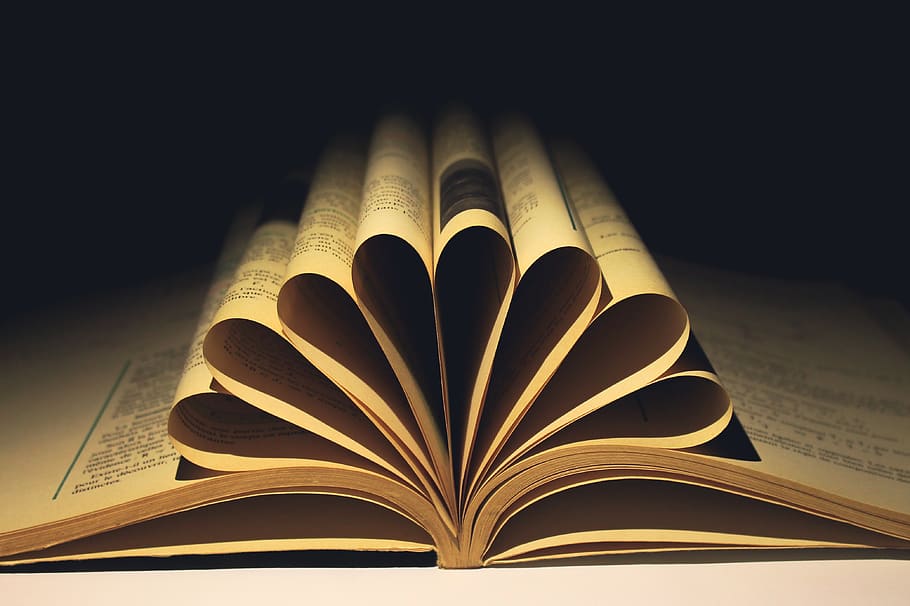 leaf, symbol, book, open, torsion, reading, science, publication HD wallpaper