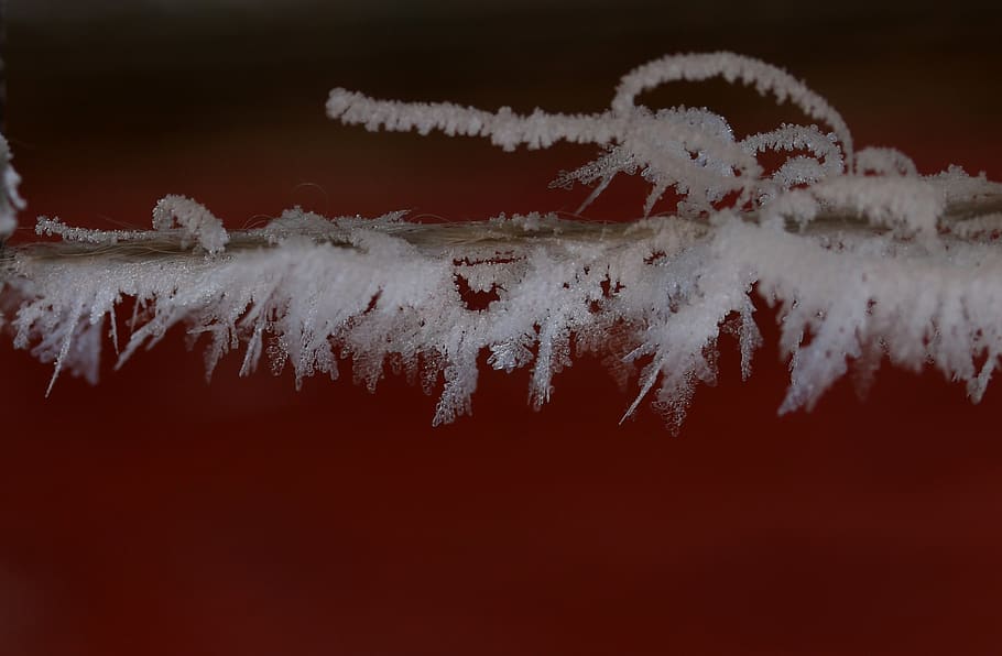 frozen, snow, winter, icicles, frost, no people, cold temperature HD wallpaper