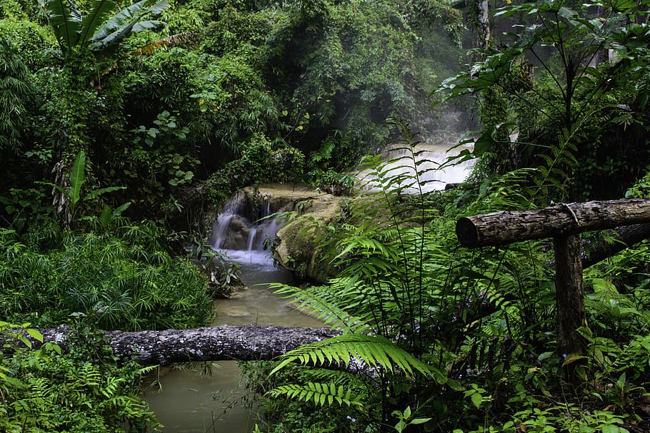 forest waterfall, stream, nature, jungle, green, asia, thailand HD wallpaper