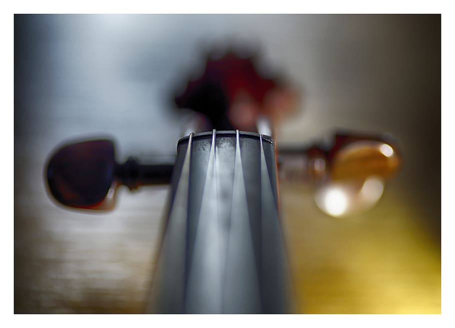 brown string instrument, transfer print, auto post production filter HD wallpaper