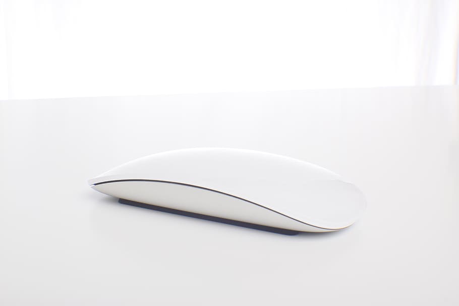 Apple Magic Mouse, white color, indoors, no people, single object HD wallpaper