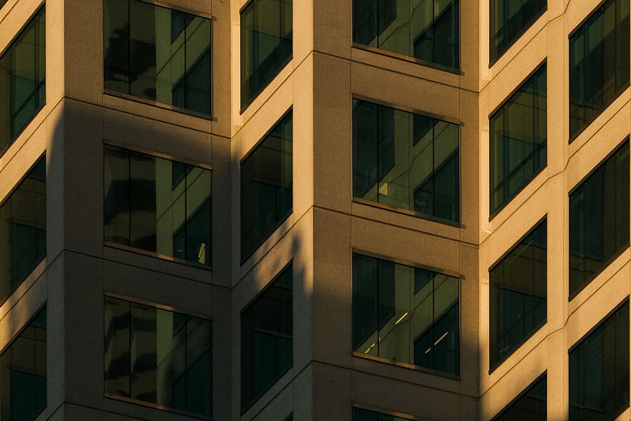 gray buoildings, building, window, angle, color, contrast, shadow HD wallpaper