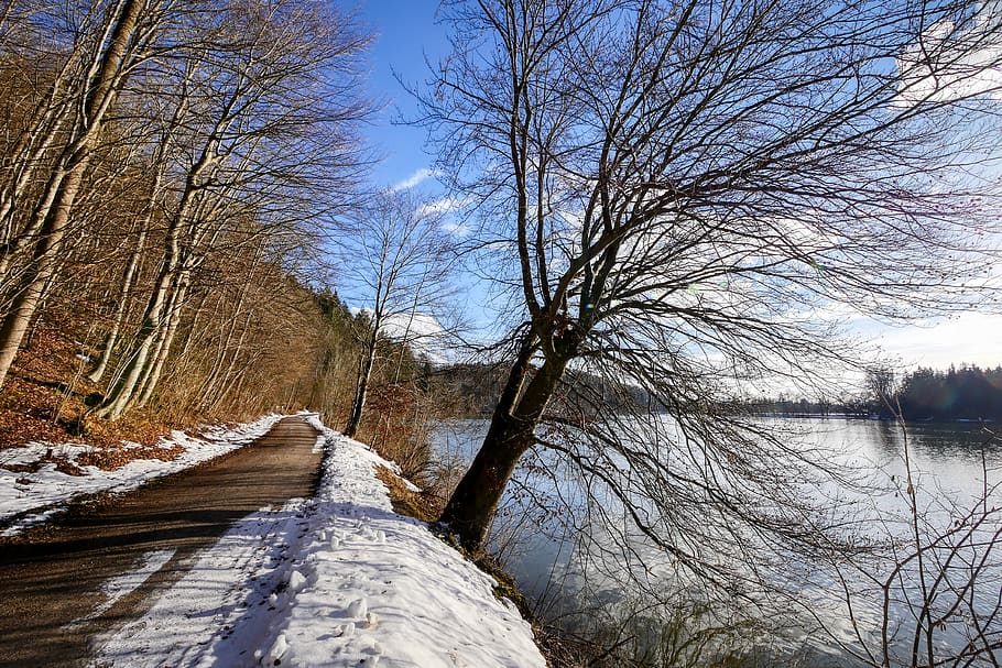 lech, river, winter, away, tree, landscape, snow, bavaria, nature HD wallpaper