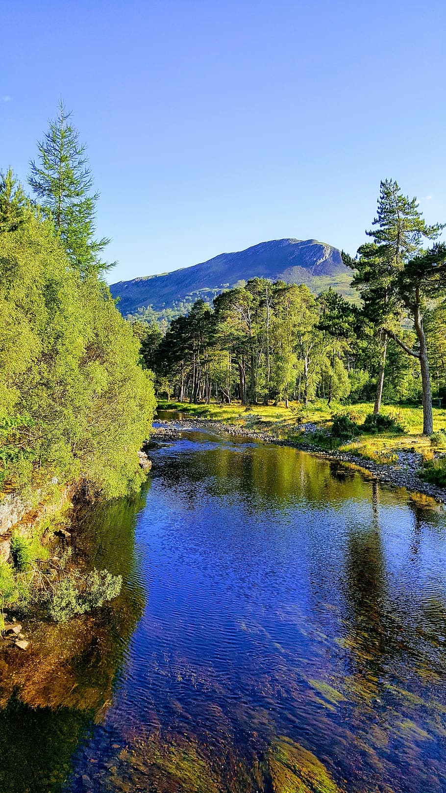 coulin, loch, water, reflections, mountains, trees, landscape HD wallpaper