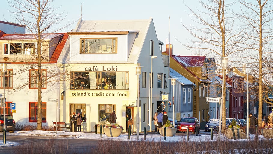 iceland, reykjavík, café loki, cafe, winter, reykjavik, street, HD wallpaper