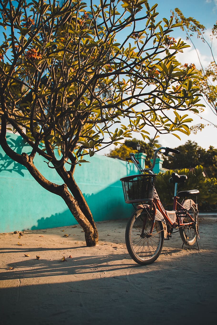 red step-though bicycle, bike, transportation, vehicle, wheel HD wallpaper