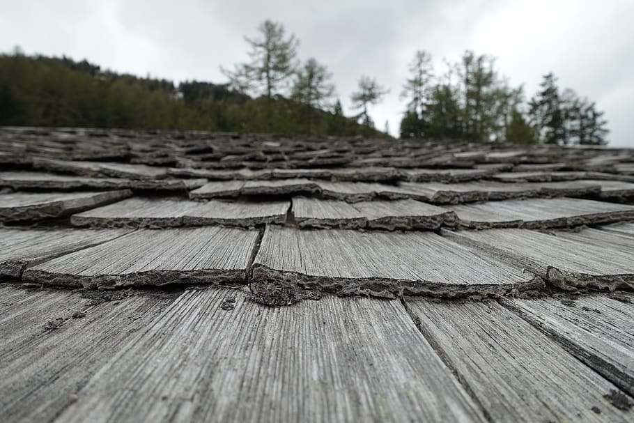 switzerland, wood - material, tree, plant, textured, no people HD wallpaper