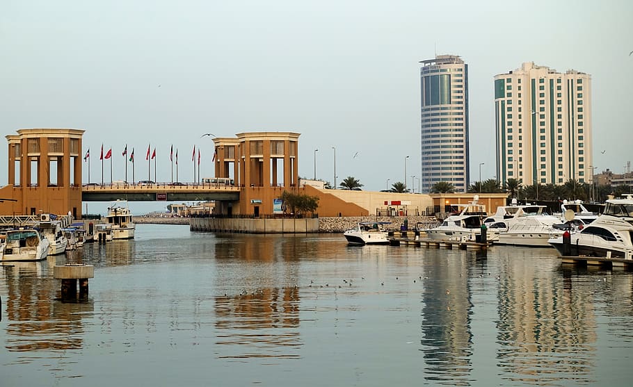 Brown Concrete Bridge and Boats, architecture, bay, buildings HD wallpaper