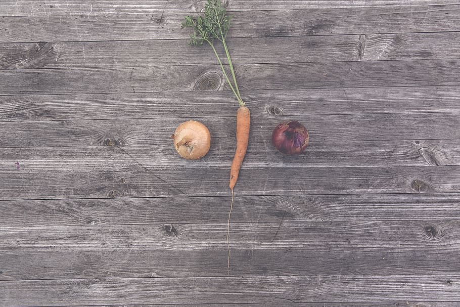germany, erlangen, bloom, breed, breeding, carrot, controlled farming HD wallpaper