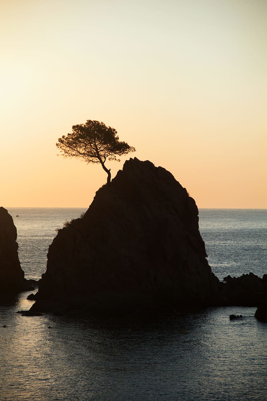 brown rock formation with tree under white sky during daytime HD wallpaper