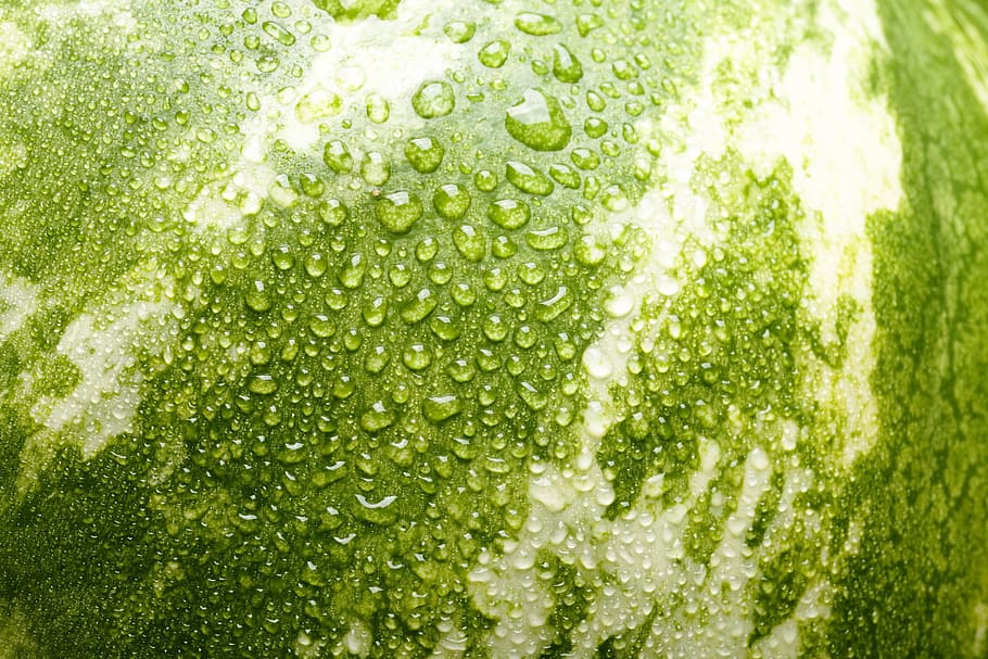 watermelon, surface, closeup, ripples, meal, ripe, clear, droplet HD wallpaper