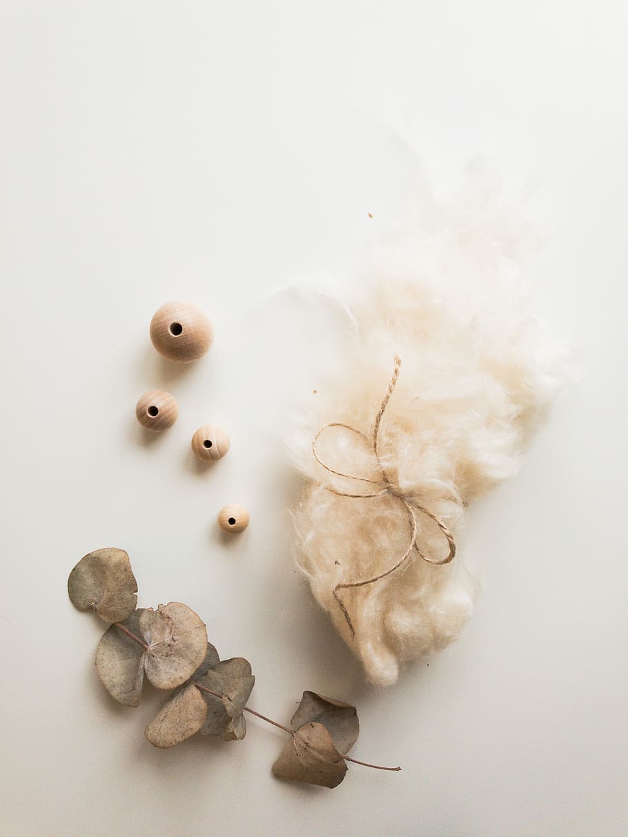 indoors, studio shot, white background, still life, no people HD wallpaper