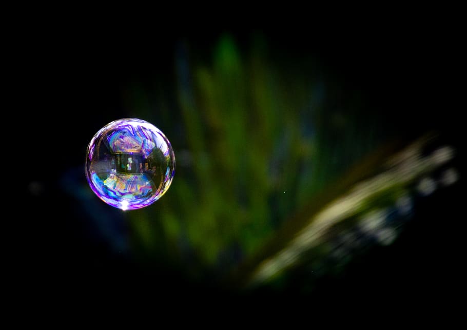 Close-up Photo of Water Dew, blurred background, bubble, colors HD wallpaper