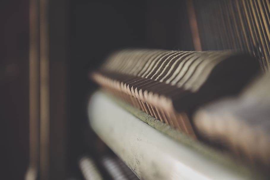 Close Up Photography of Piano Keys, blur, close-up, conceptual HD wallpaper