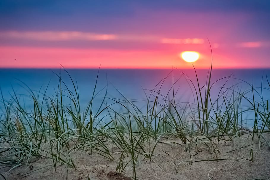 ocean shore during daytime, sun, horizon, sky, grass, beach, sea HD wallpaper