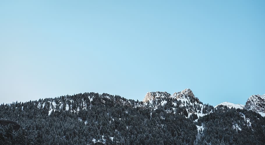 trees, forest, mountain, mountains, sky, minimalistic, snow HD wallpaper