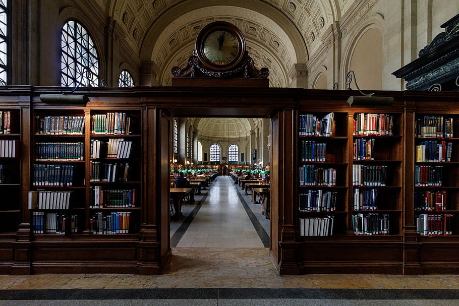inside library view with people on it, book, shelf, publication HD wallpaper