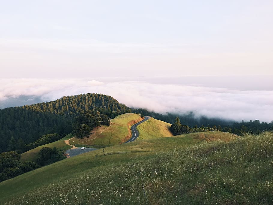 landscape, grass, hills, trees, forest, road, clouds, sky, nature HD wallpaper