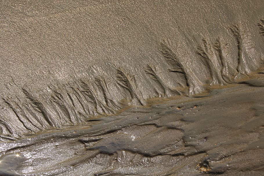 tidal, mud, dirt, nature, sand, mud flat, foreshore, land, beach HD wallpaper