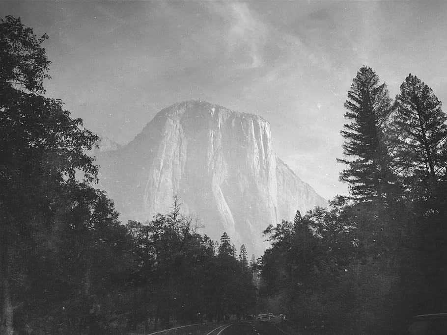 blackandwhite, yosemite, mountain, tree, plant, scenics - nature HD wallpaper