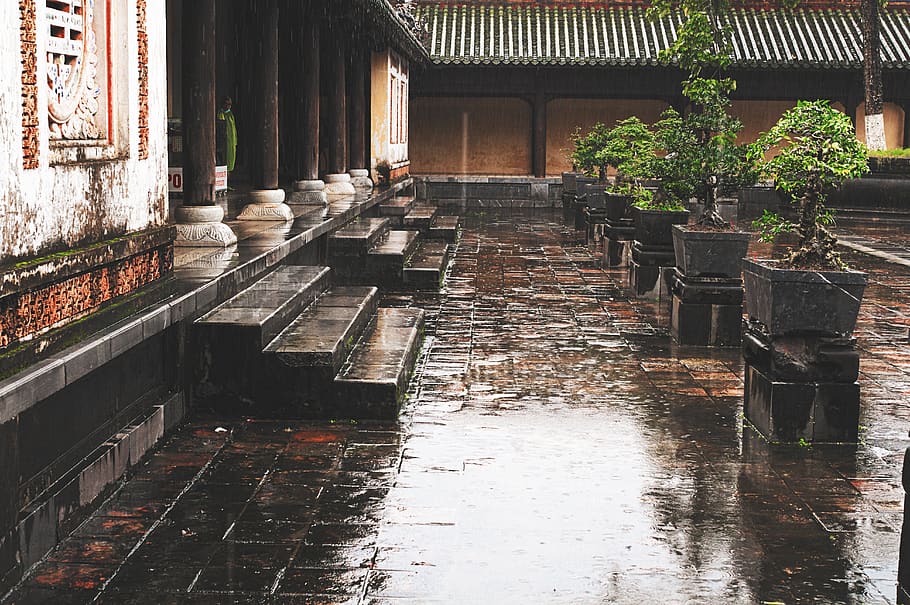 rain, vietnam, built structure, architecture, water, wet, day HD wallpaper