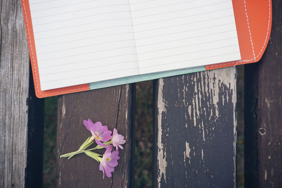Purple Petaled Flower Beside White Line Paper on Black Wooden Desk HD wallpaper