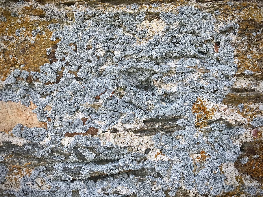 greece, mount athos, textures, stone, full frame, backgrounds HD wallpaper