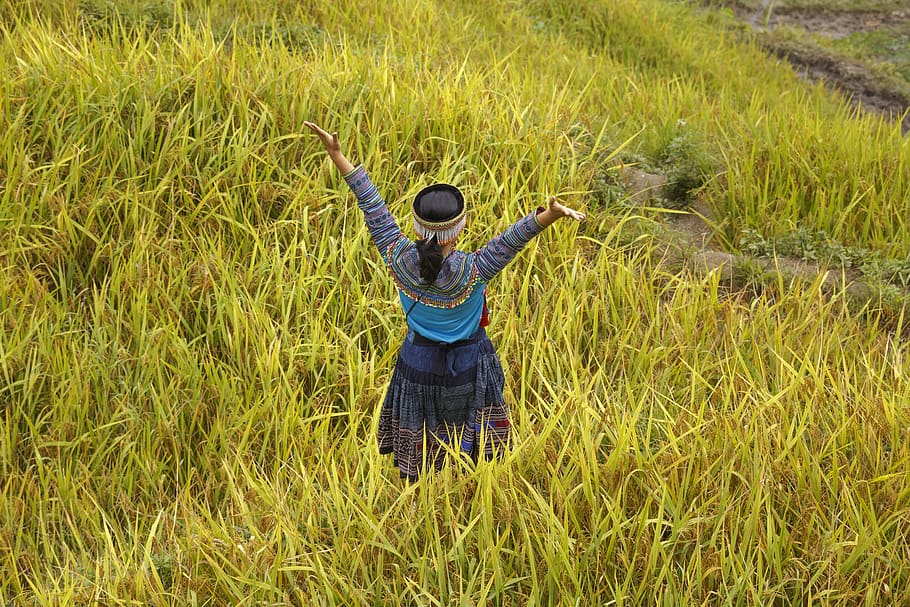 Photo Of Woman Raising Her Arms, adult, environment, farmland, HD wallpaper