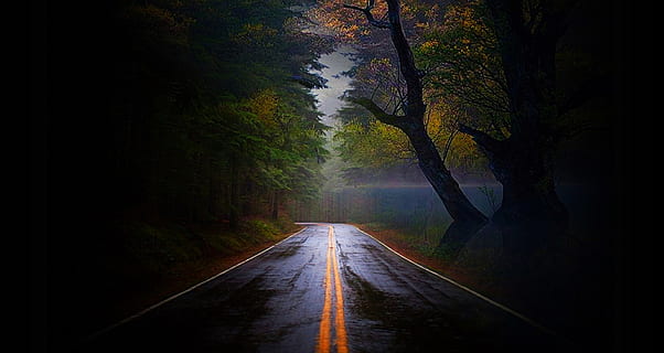 road, empty, barren, quiet, rural, country, landscape, scenic HD wallpaper