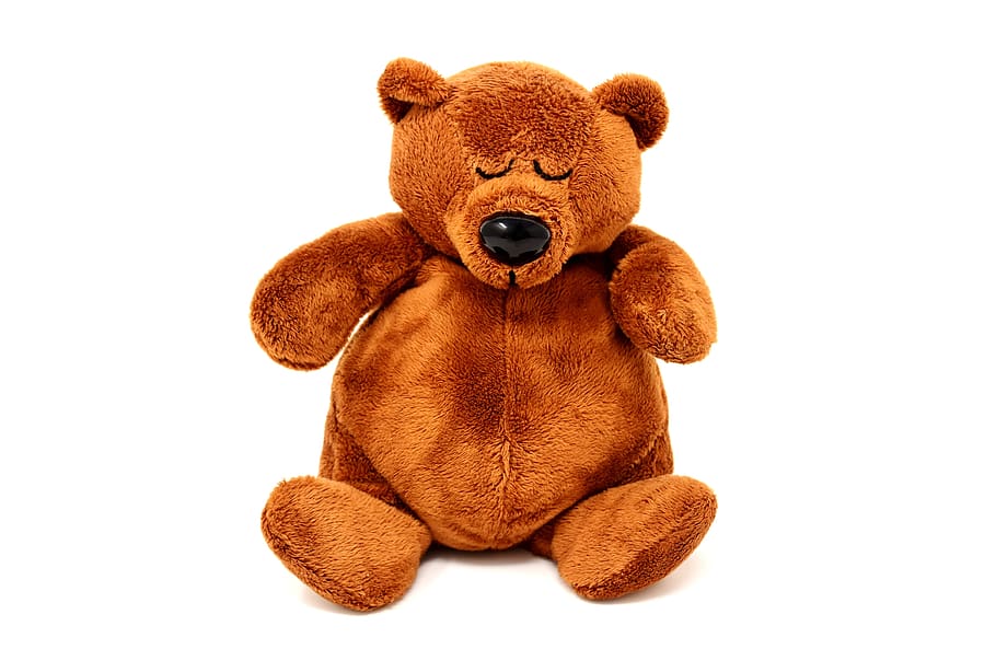 teddy, plush, sleeping, cute, bear, bears, funny, sweet, toys HD wallpaper