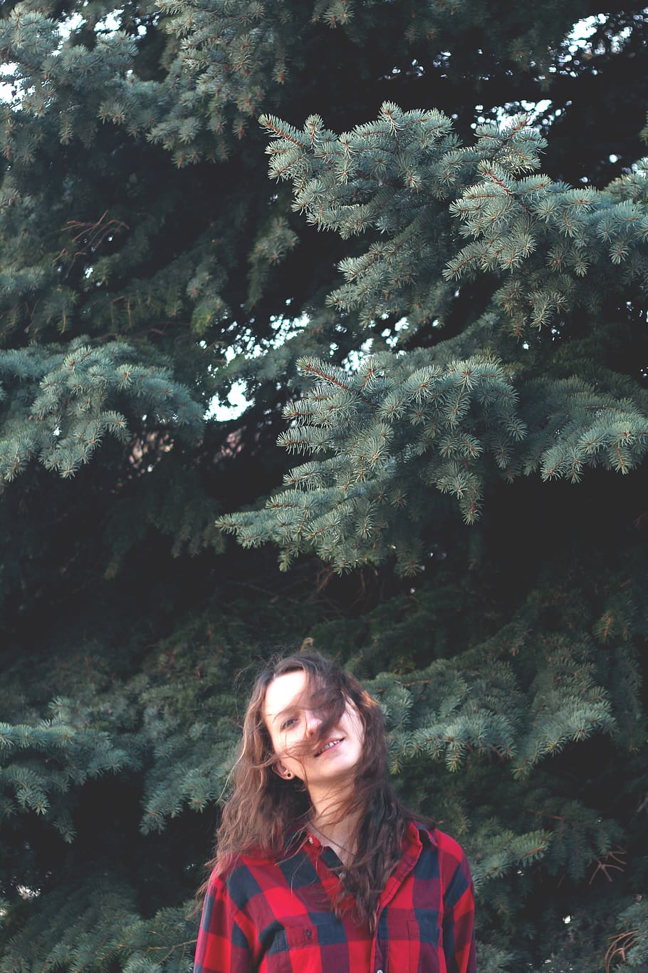 portrait, evergreen, tree, young, girl, windy, one person, front view HD wallpaper