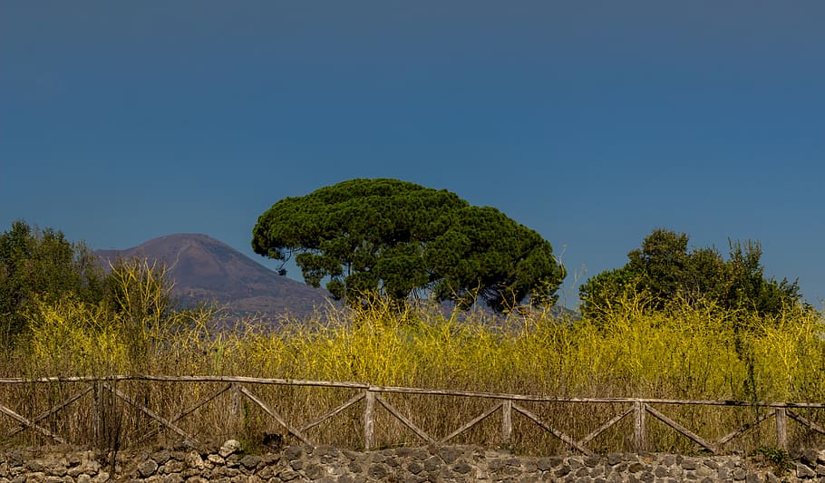 italy, pompeii, colour, summer, tree, mountain, vesivius, hot, HD wallpaper