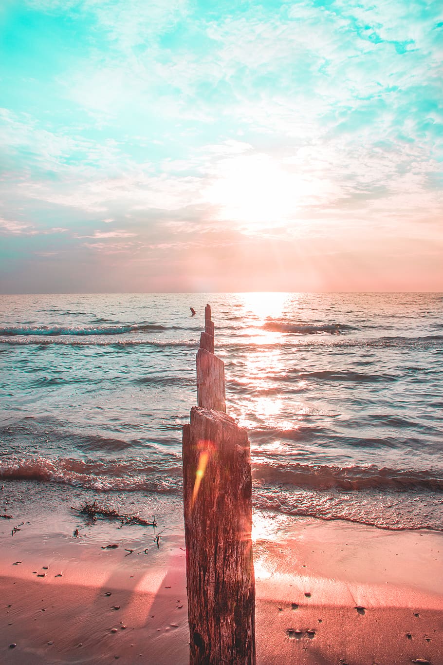Seashore, beach, dawn, nature, ocean, sand, seascape, sky, sunrise HD wallpaper