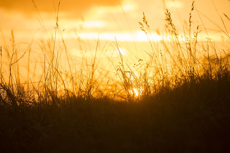england, autumn, spring, sunset, sunrise, golden, golden hour HD wallpaper