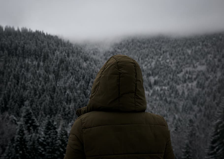 mounten, nature, cloud, forest, tree, rear view, clothing, hood HD wallpaper