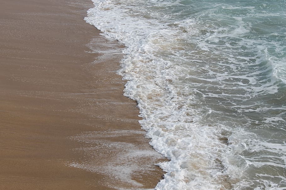 wave, sea, beach, water, motion, aquatic sport, surfing, land HD wallpaper