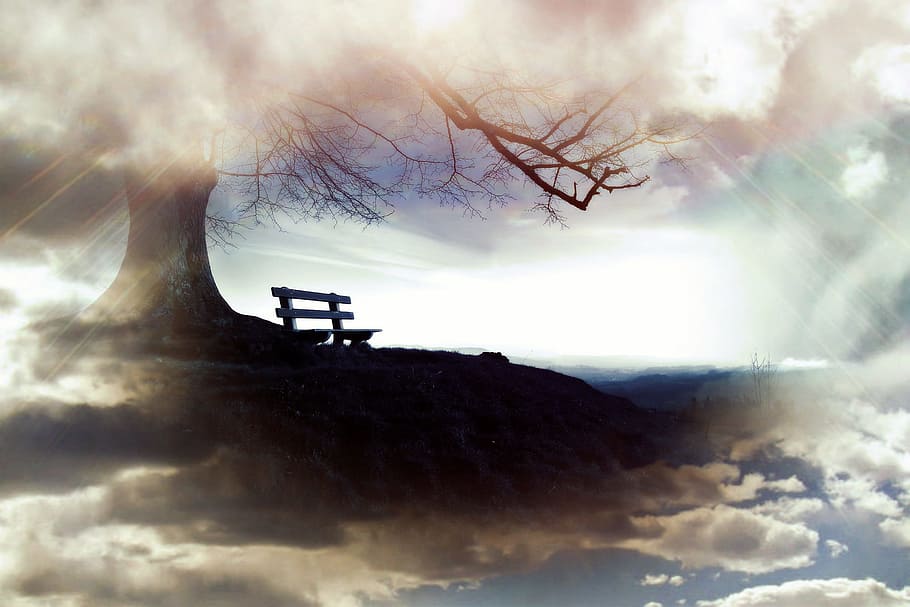 fantasy, portrait, tree, fog, smoke, paint, painting, cloud - sky HD wallpaper