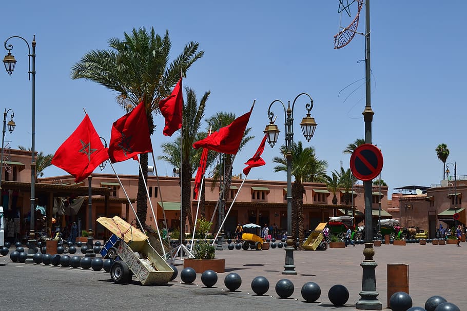 morocco, marrakesh, flags, tree, nature, sky, city, day, plant HD wallpaper