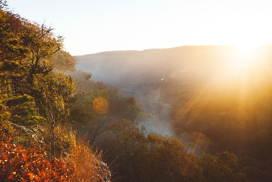 landscape, fog, tree, mountian, sunrise, plant, autumn, beauty in nature HD wallpaper