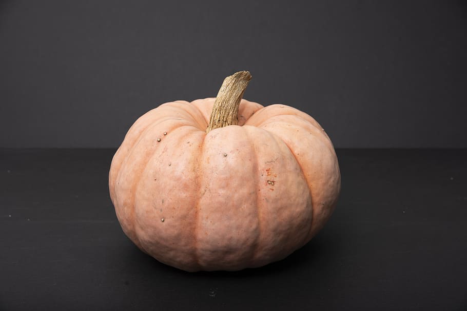 whole orange pumpkin on black surface, plant, food, vegetable, HD wallpaper