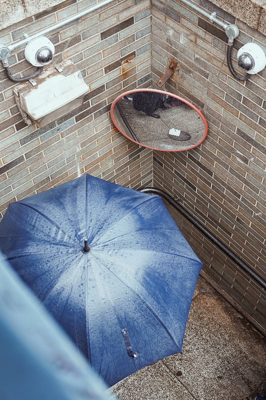 blue umbrella inside bathroom, high angle view, day, protection HD wallpaper