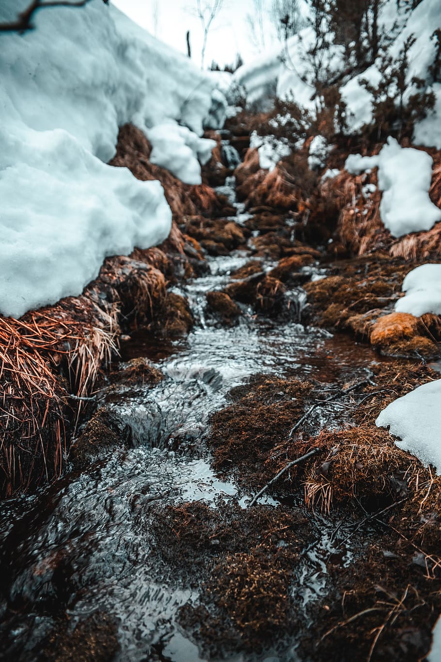 Snow Covered Ground, close-up, cold, daylight, daytime, environment, HD wallpaper