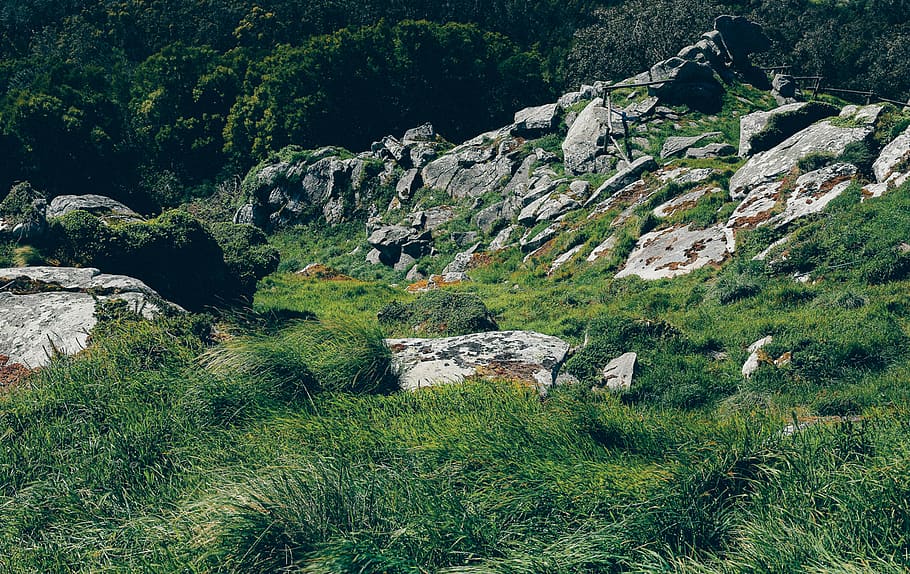 spain, a guarda, stone, grass, gree, grey, plant, rock, beauty in nature HD wallpaper